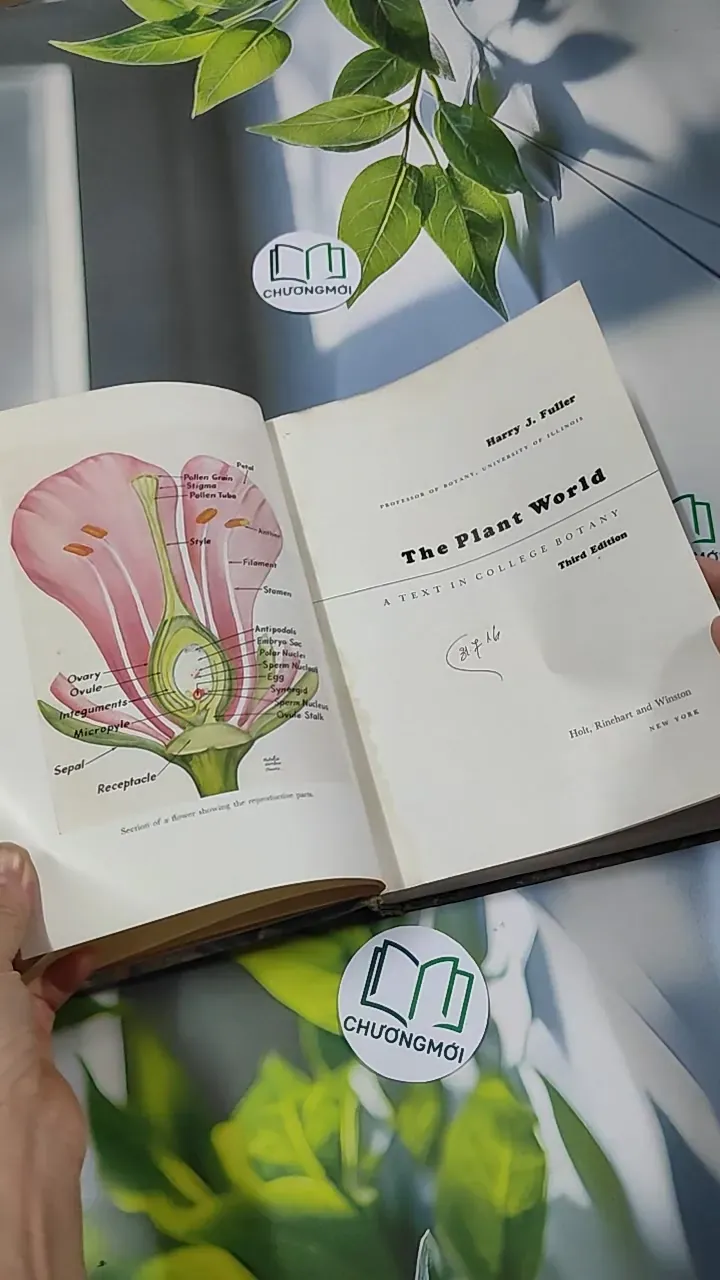 [MIỄN PHÍ BỌC SÁCH] The Plant World - Harry J. Fuller 750801
