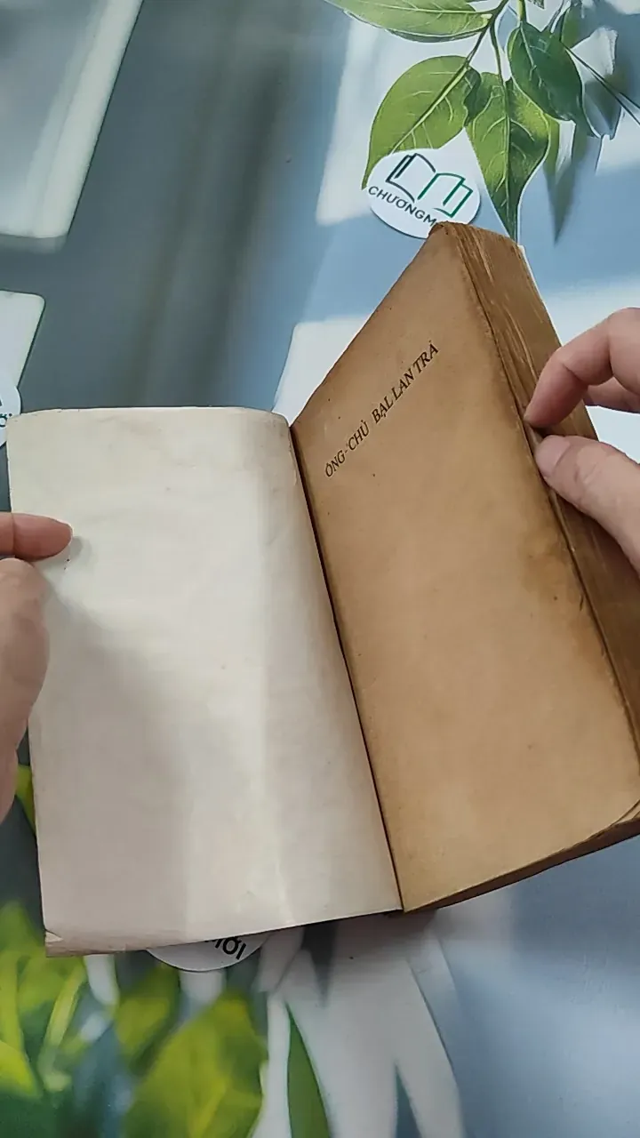 [XƯA] Ông Chủ Ballantra (1990) - Robert Louis Stevenson 776098