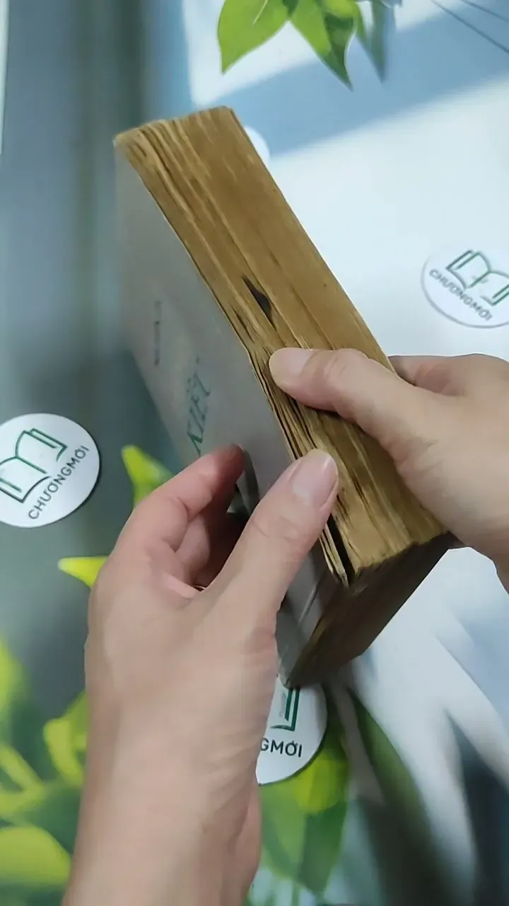 [MIỄN PHÍ BỌC SÁCH] Truyện Kiều - Nguyễn Du 705782