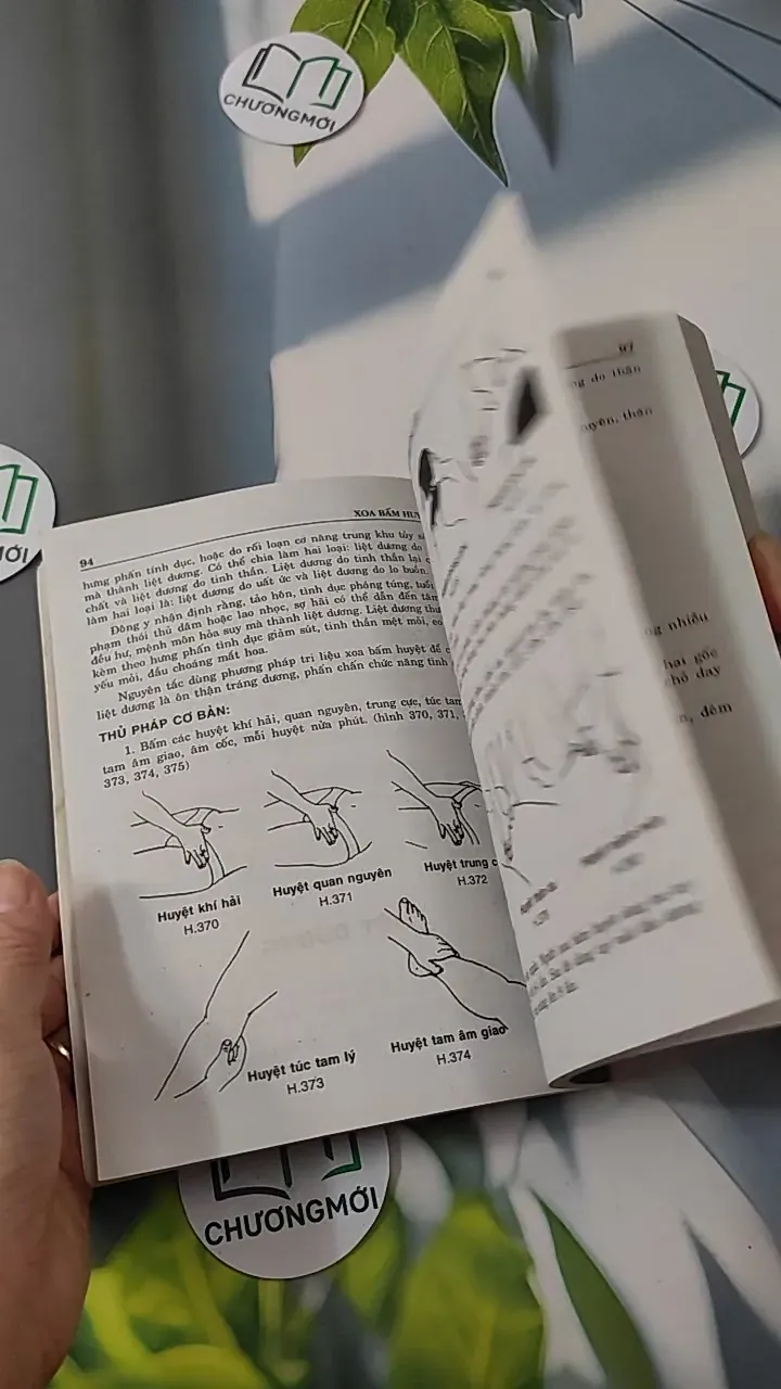 Xoa - Bấm Huyệt - Kỷ Anh & Định Công Bảy 780808