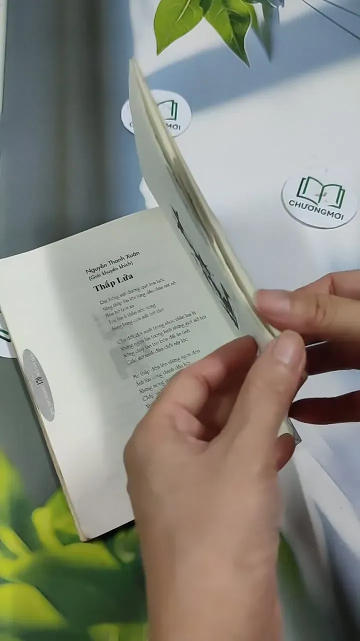 Mây Bay Ngang Rồi Bay Qua - Báo Mực Tím 705769