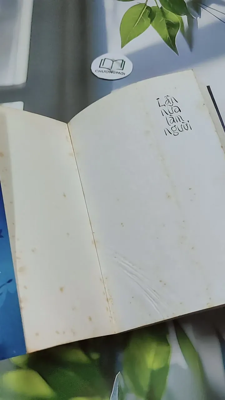 Lần Nữa Làm Người - Kim Đại 744724