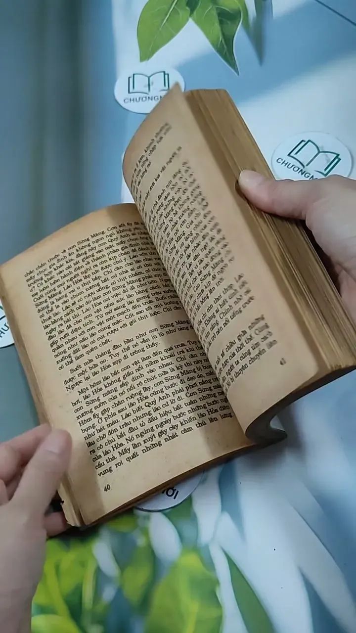 Cuộc Báo Thù Cuối Cùng 713840