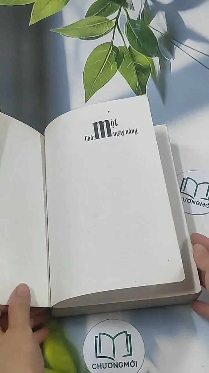 Chờ một ngày nắng - Điệp Chi Linh 694938