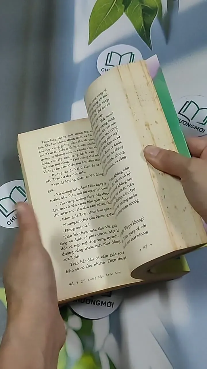 24 cung bậc trái tim 698564