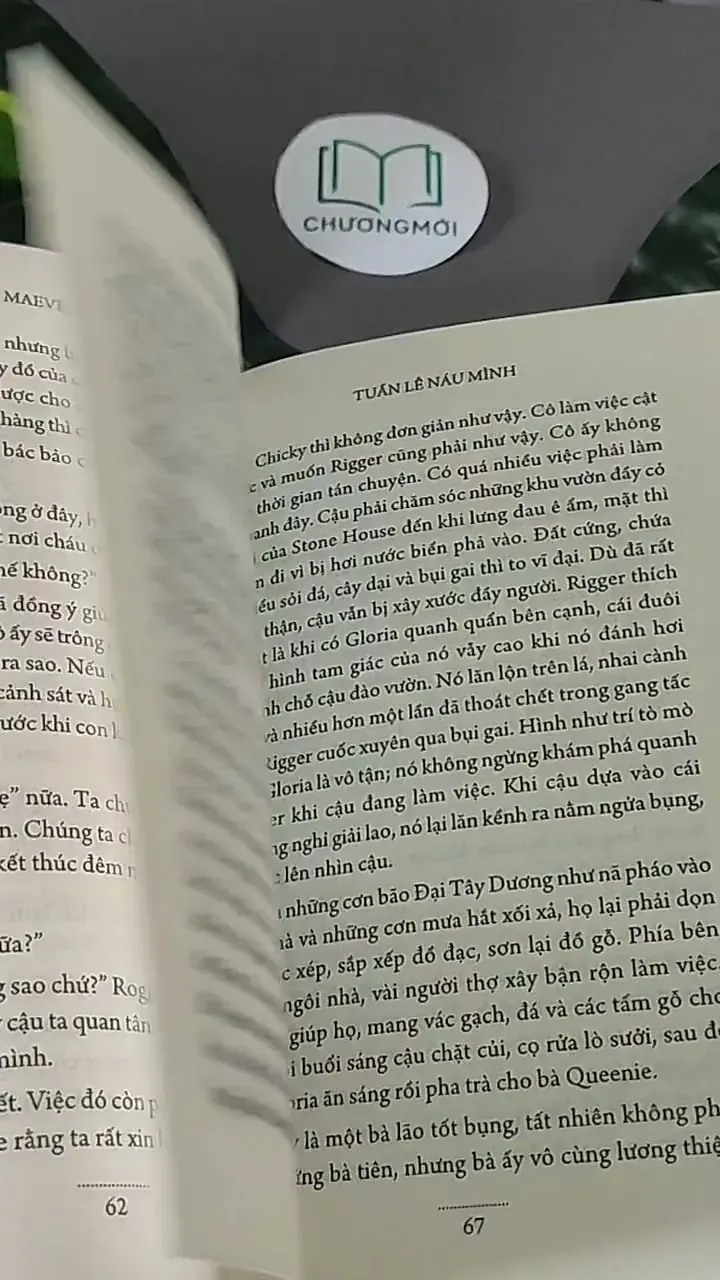 Tuần Lê Náu Mình (2017) - Maeve Binchy 604469