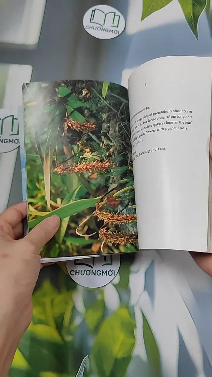 [XƯA] Flowers in Thailand Vol. 12 (1986) - Somsak Sukwong 754504