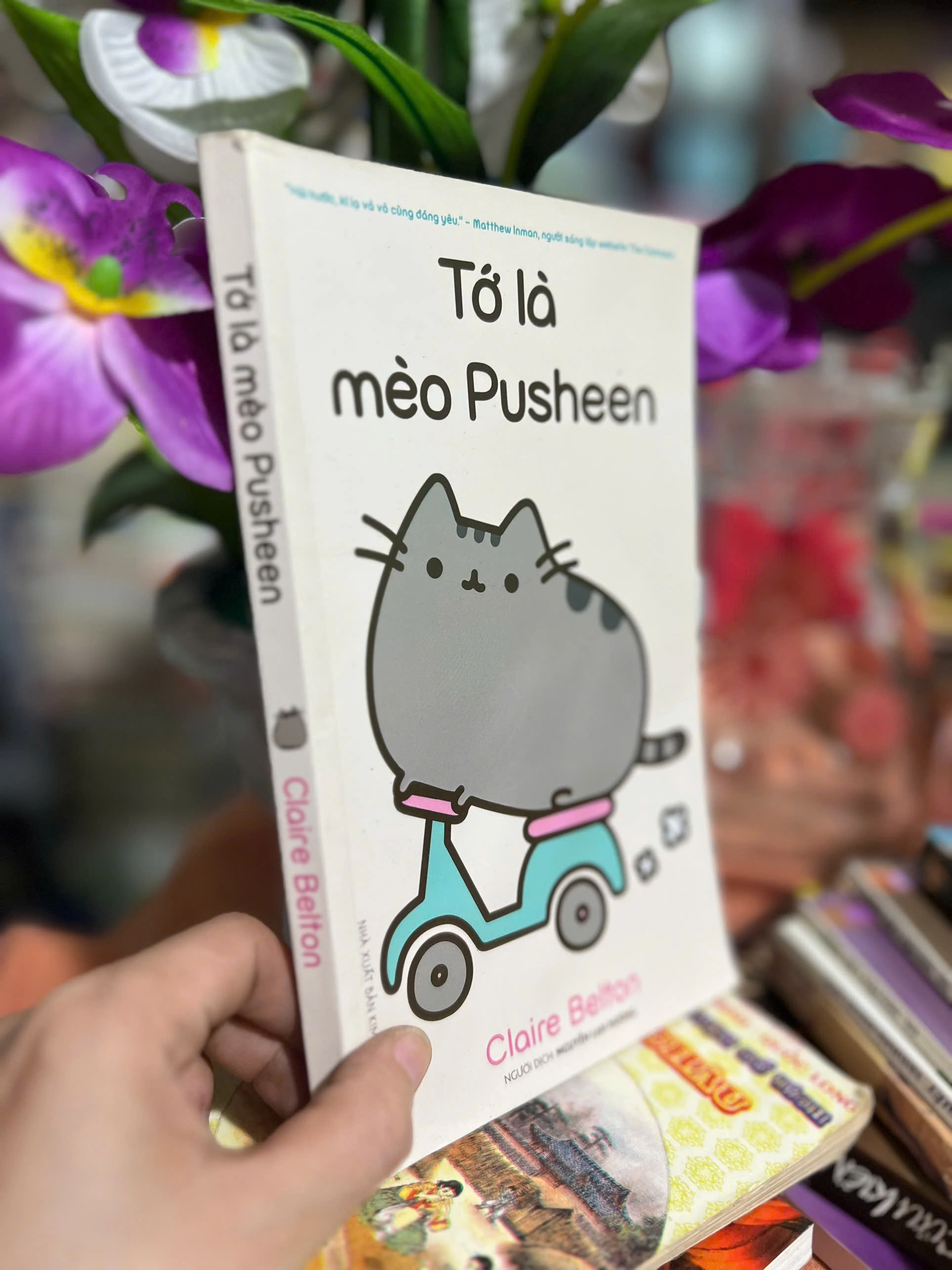 Tớ là mèo Pusheen - Claire Belton by  - Sách Book Cover - Ngọc Hiển Books