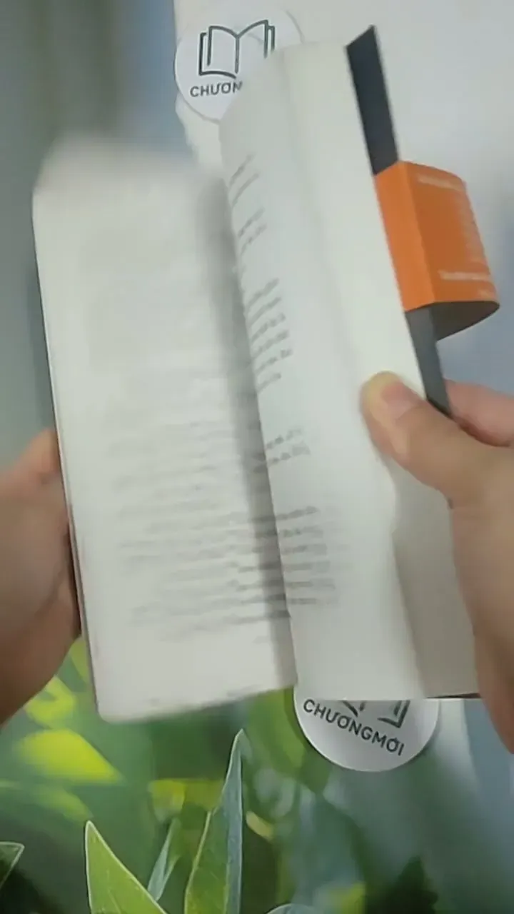 Yêu Anh Hơn Cả Tử Thần - Tào Đình 705636