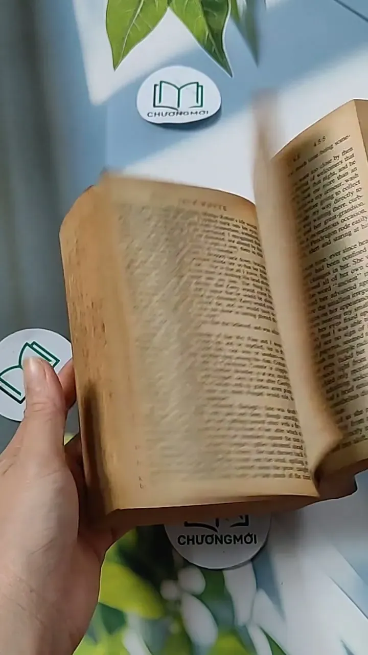 [MIỄN PHÍ BỌC SÁCH] The Saxon Shore - Jack Whyte 703080