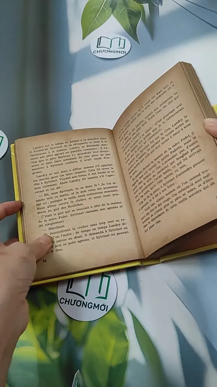 [MIỄN PHÍ BỌC SÁCH] La Petite Fadette - George Sand 749583