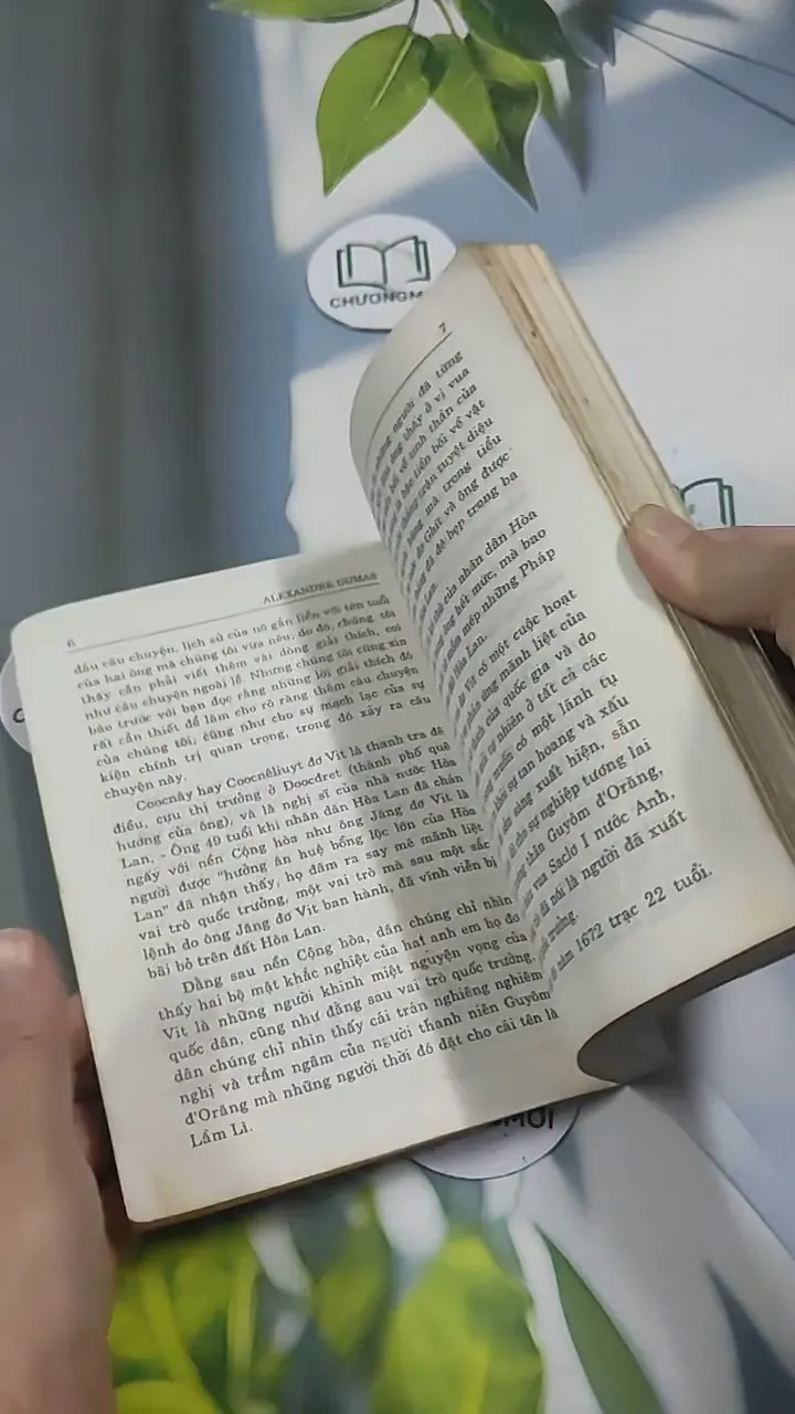 Hoa TuyLip Đen - Alexandre Dumas 715595