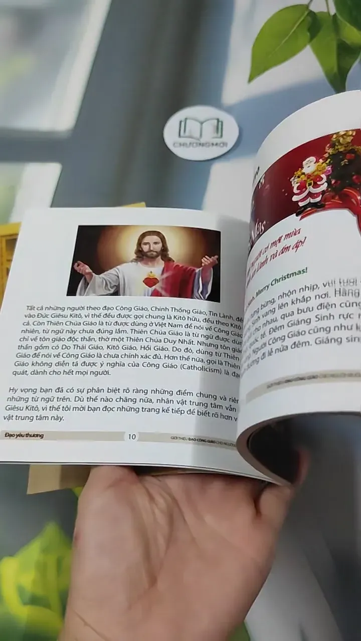 Combo: Kinh Thánh Thật Sự Dạy Gì, Đạo Yêu Thương 727295