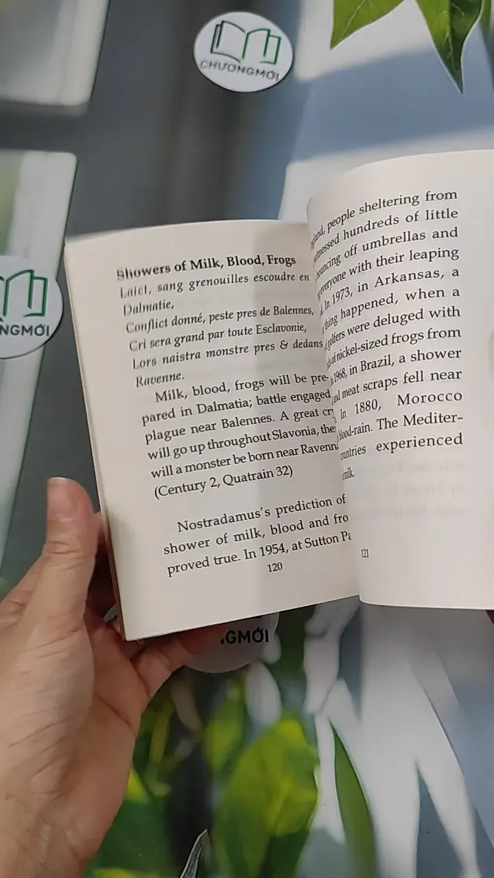 All You Wanted To Know About - Nostradamus 754502