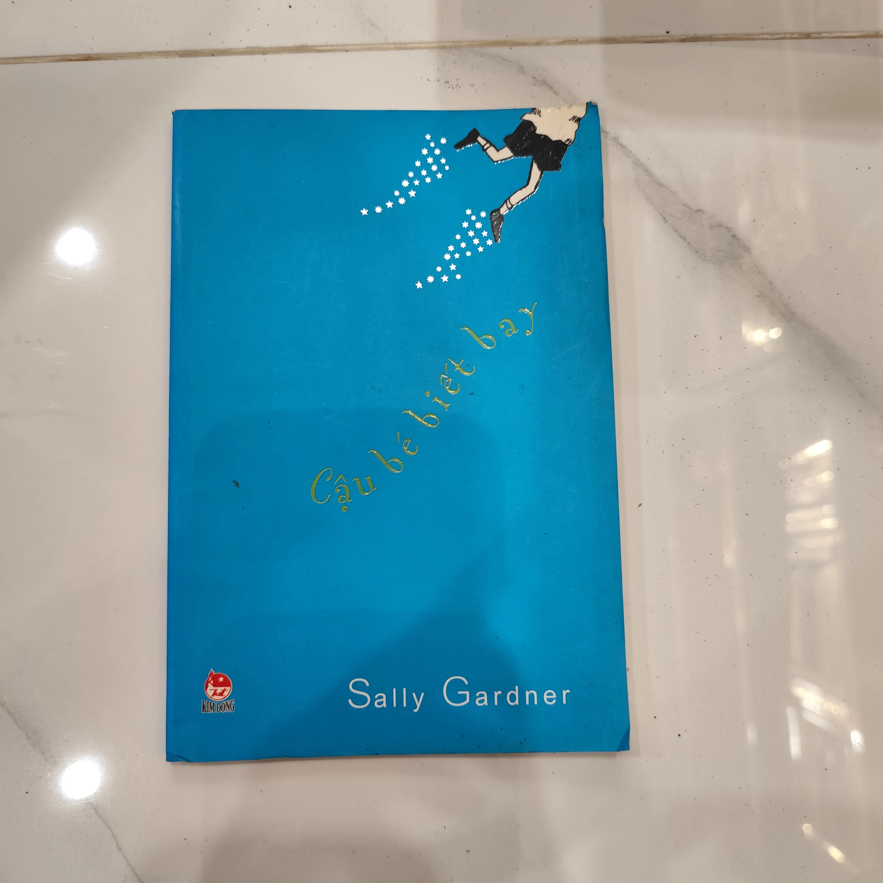 Cậu bé biết bay by  - Sách Book Cover - Ngọc Hiển Books