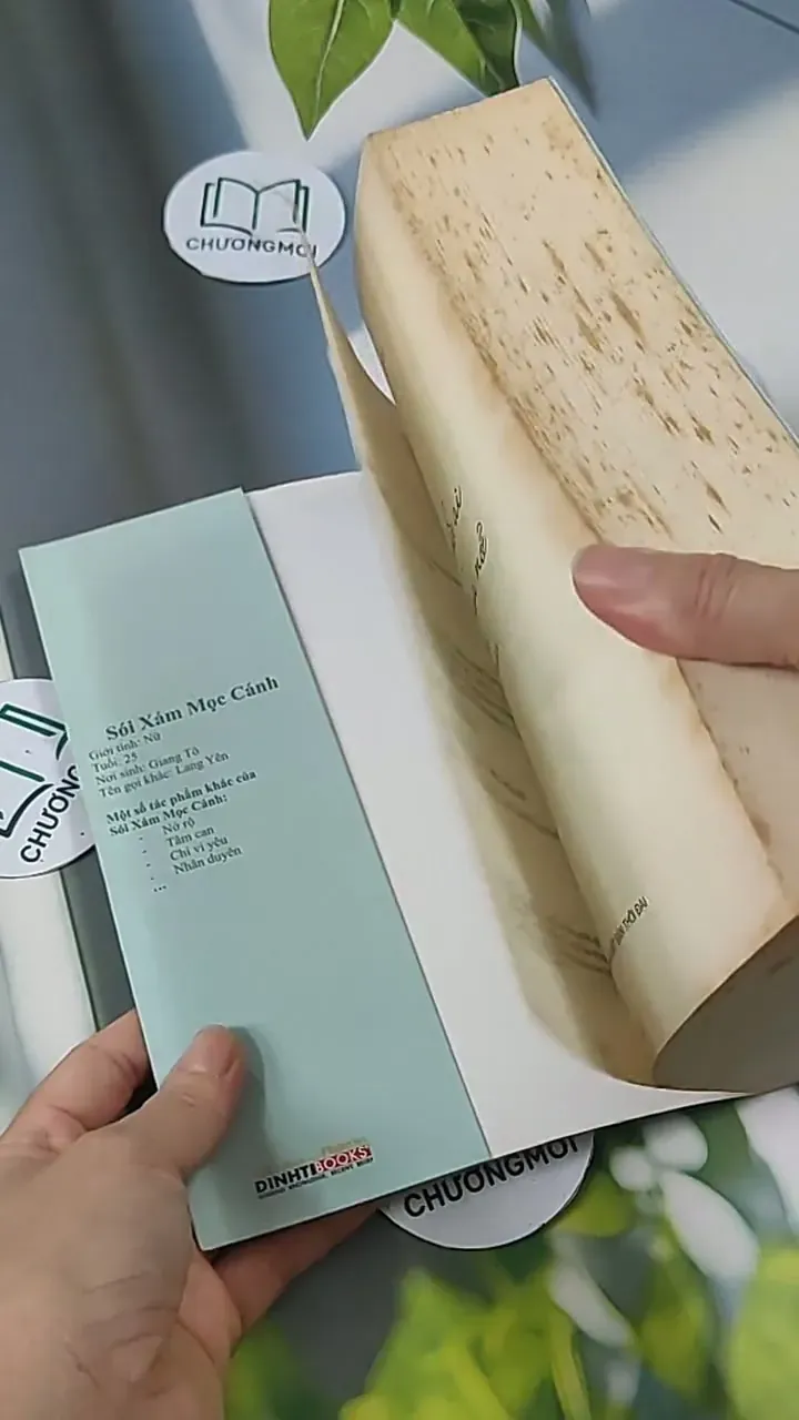 Ai Còn Chờ Ai Giữa Mùa Hoa Nở - Sói Xám Mọc Cánh 705627