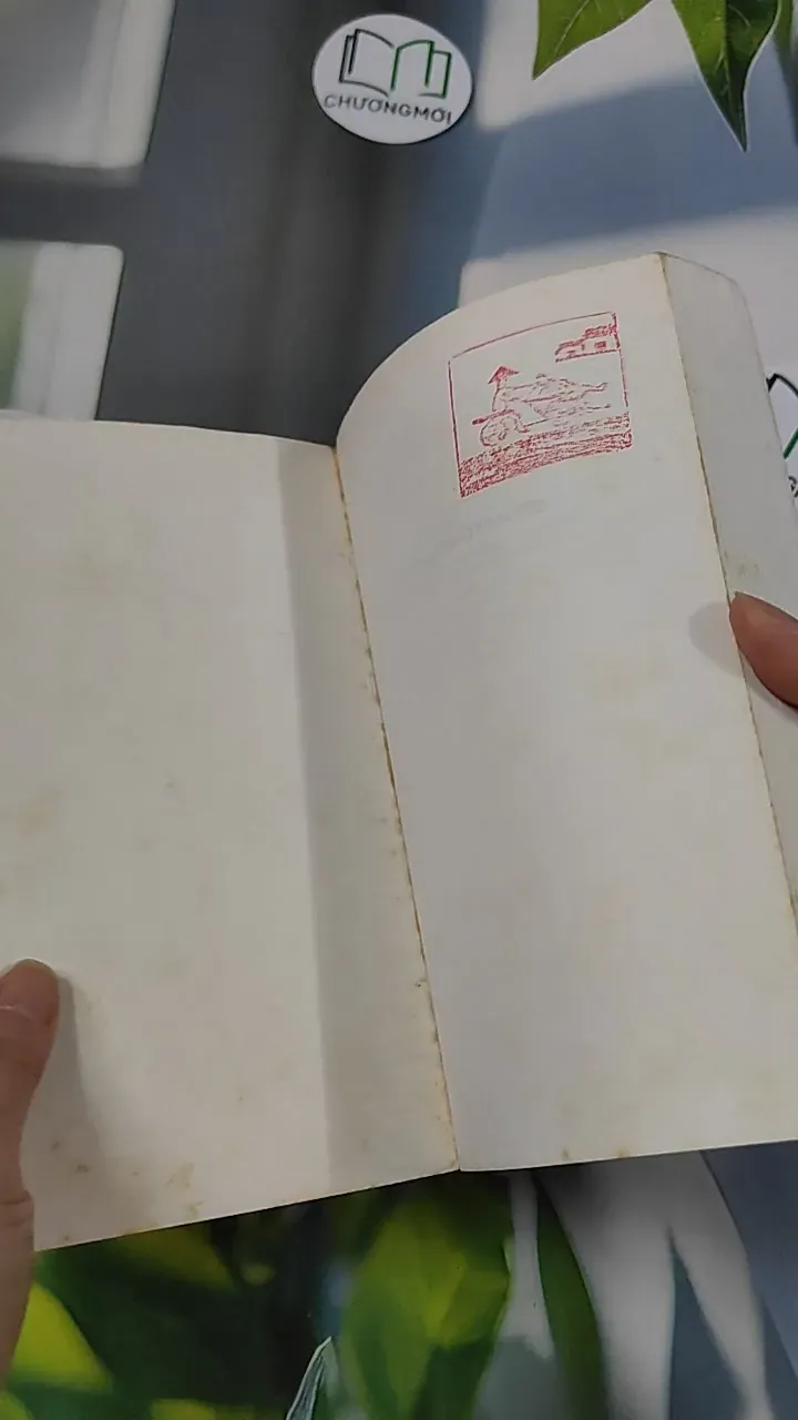 [MIỄN PHÍ BỌC SÁCH] Les Clairvoyantes - Kaye Gibbons 754523