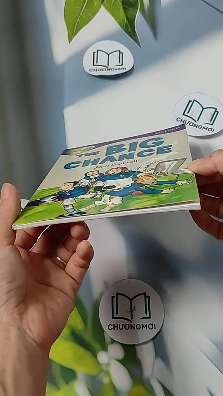 Oxford Reading Tree - Stage 11: TreeTops More Stories A: The Big Chance 703070