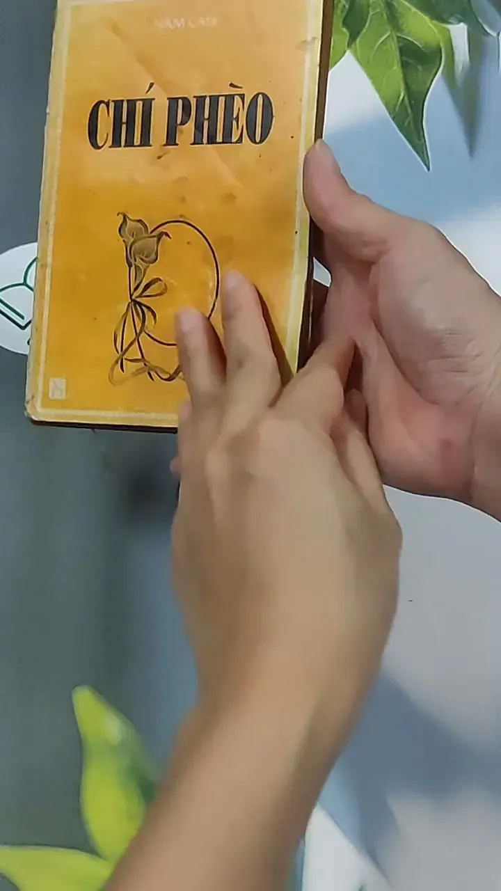 Chí Phèo (1995) - Nam Cao 674978