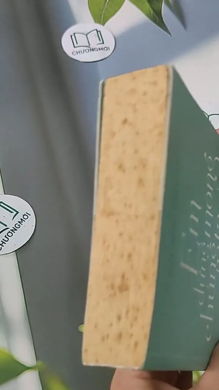 Em Đừng Mong Chúng Ta Là Người Dưng - Duy Hoà Tống Tử 705585