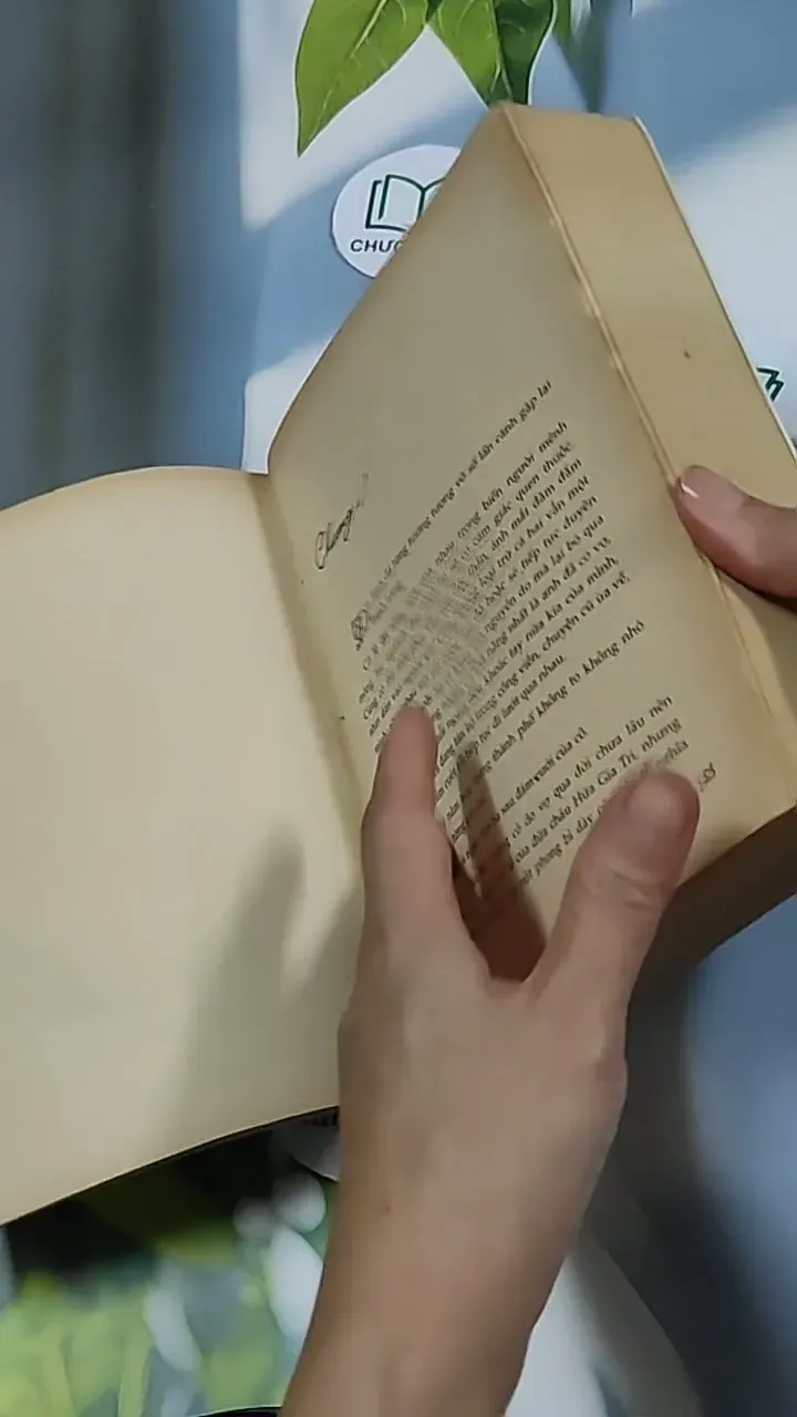 Quãng thời gian trong hồi ức - Diệp Tử 698605