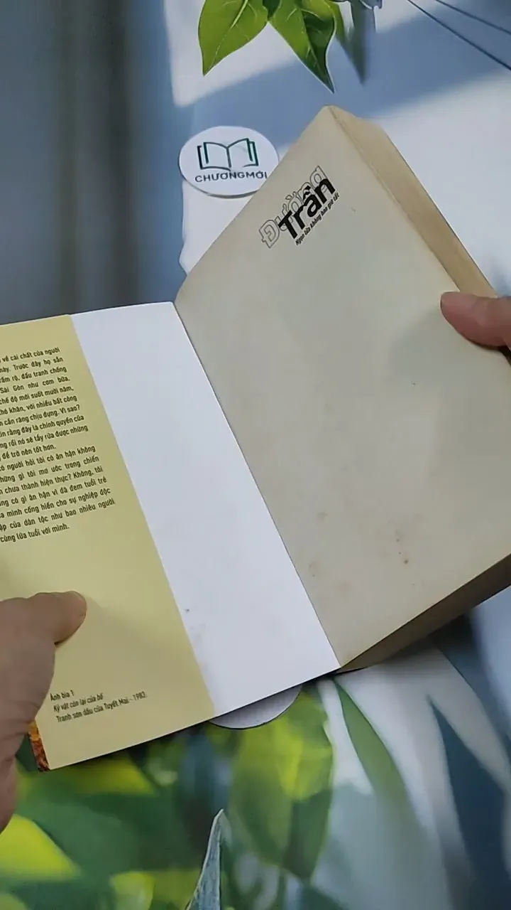 Đường Trần: Ngọn Lửa Không Bao Giờ Tắt - Trần Tố Nga 705659