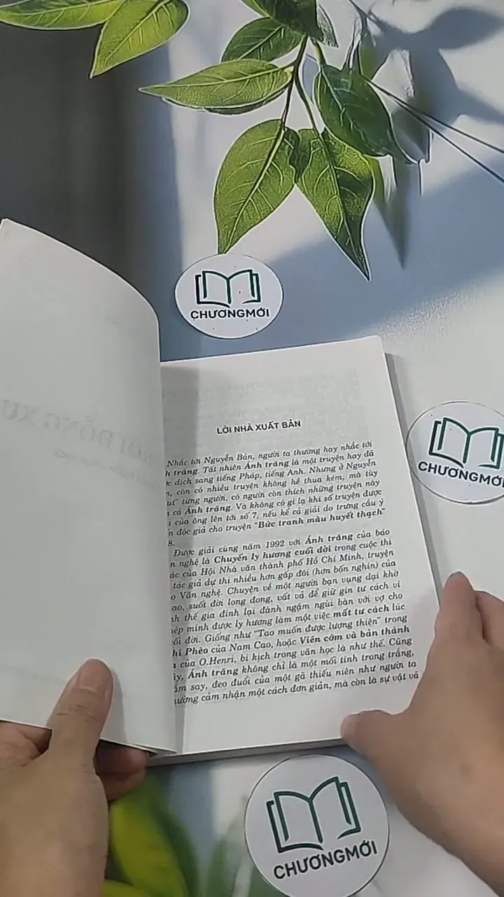 Mặt trời đồng xu - Nguyễn Bản 694916