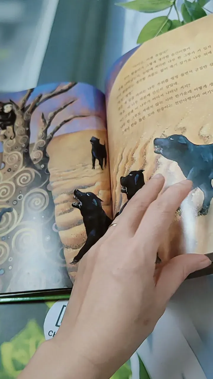 [Tặng nẹp góc] Truyện thiếu nhi Hàn Quốc: Moyamo Anu 24 -  모야모 아누와: 불행을 찾아간 원숭이;. 지혜의 열쇠 732017