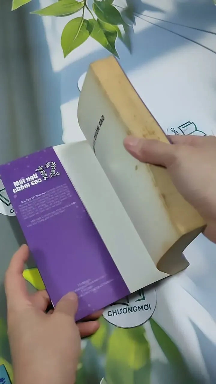 Mật Ngữ 12 Chòm Sao: Mật Ngữ Tình Yêu - MN12CS 707311