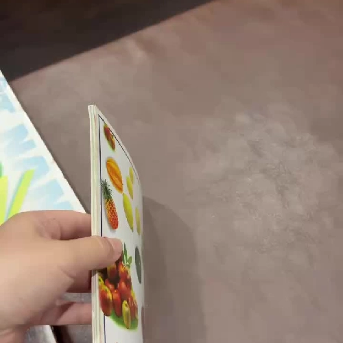 “Các loại trái cây” - K3