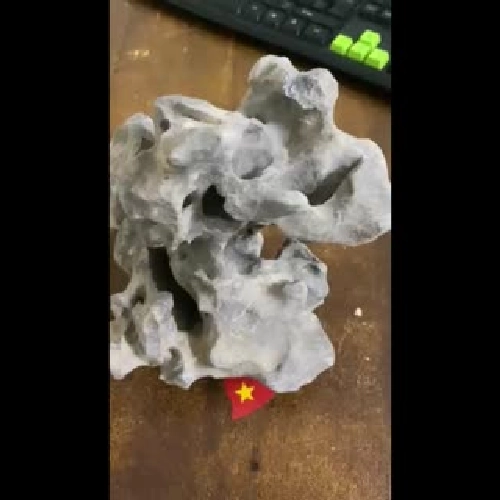 Đá ký cây hoặc tiểu cảnh 