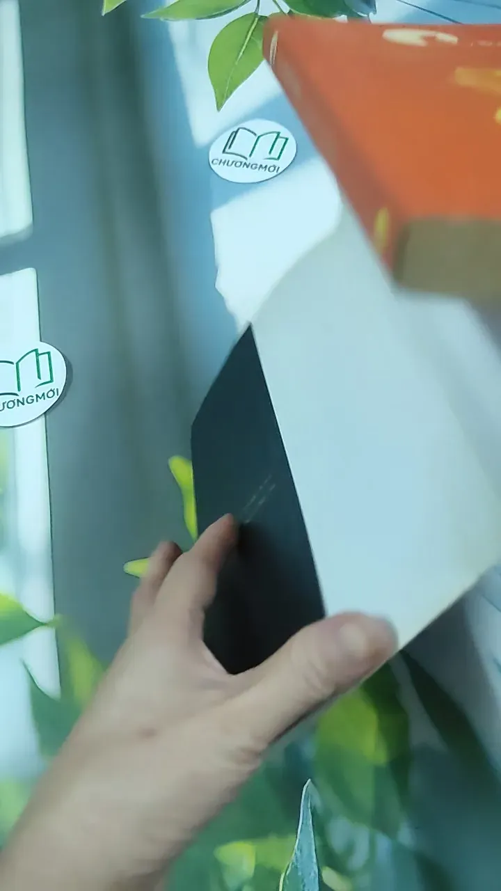 Cà Phê Cùng Tony - Tony Buổi Sáng 787081