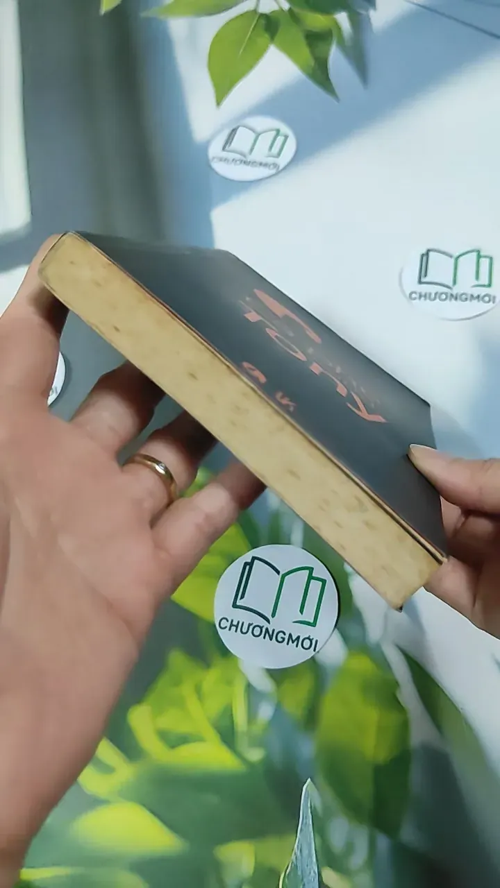 Cà Phê Cùng Tony - Tony Buổi Sáng 787081