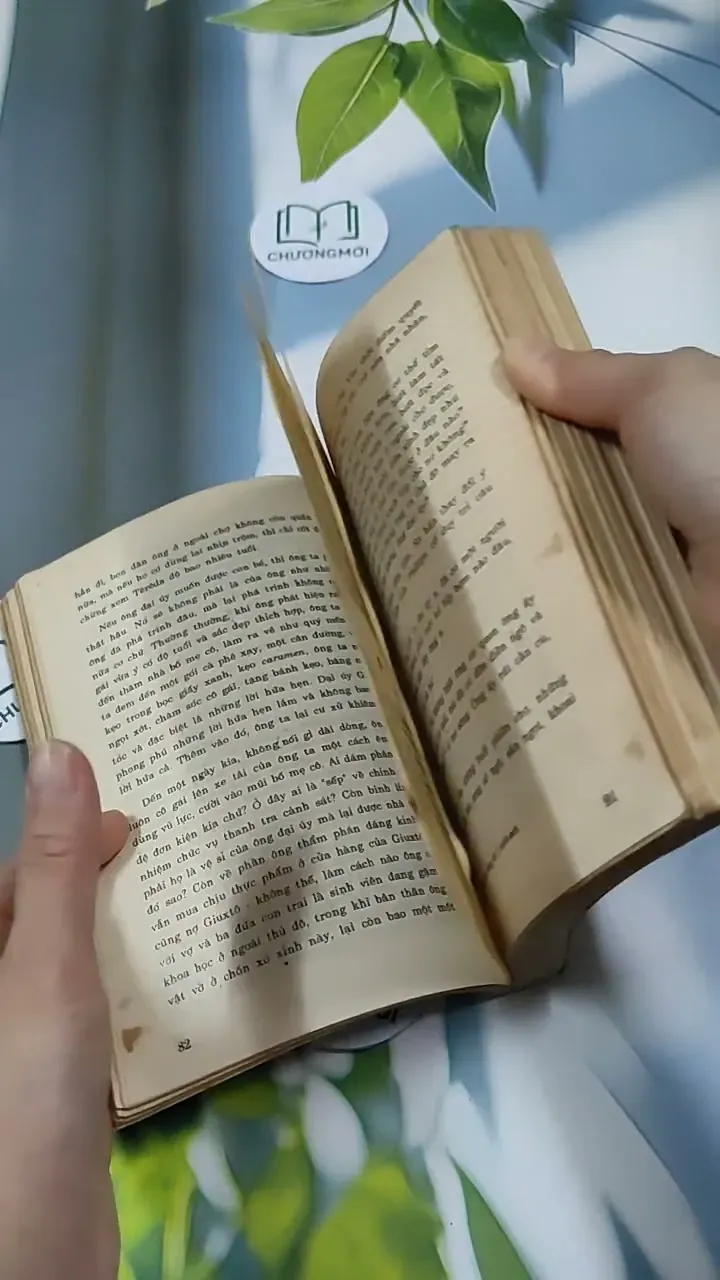 TêRêDa - G. AMaĐô 713871