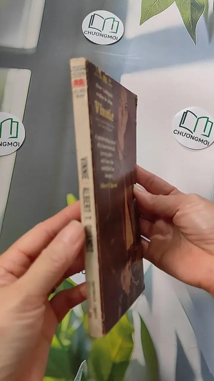 [XƯA] Vinnie (1968) - Albert T. Quandt 754454