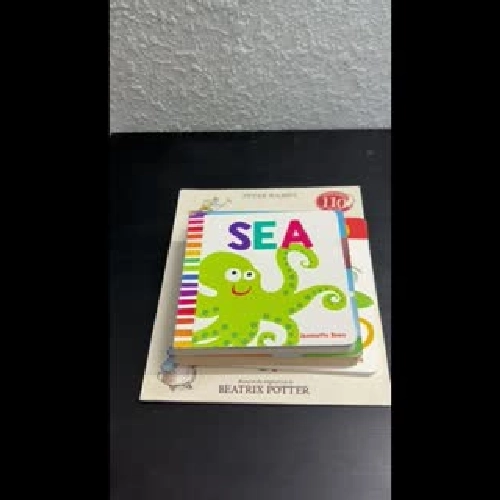 Board book SEA