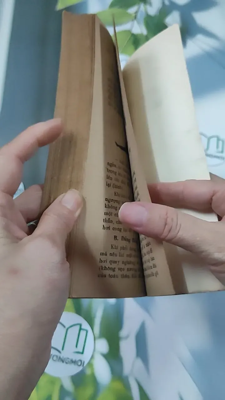 [MIỄN PHÍ BỌC SÁCH] [XƯA] Tuổi Trẻ Và Sắc Đẹp (1989) - BS. Nguyễn Ngọc Bảy 776022