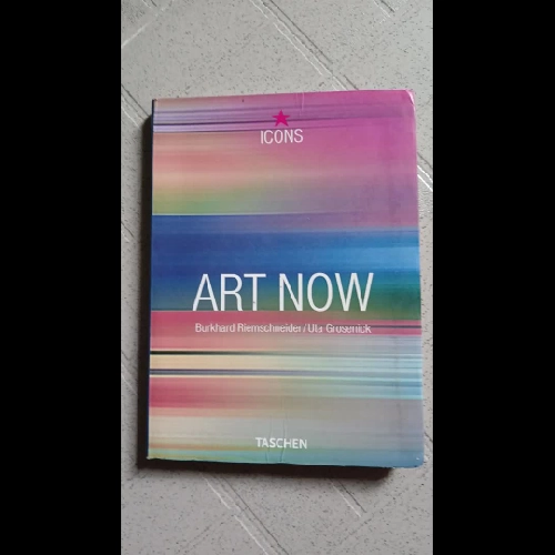 Art Now - Burkhard Riemschneider/Uta Grosenick 329403