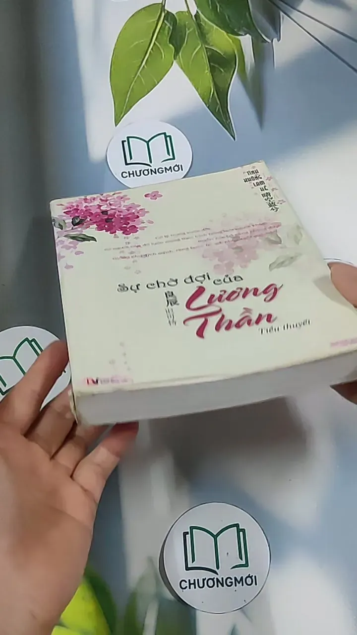 Sự chờ đợi của Lương Hằng - Tinh Không Lam Hề 688685