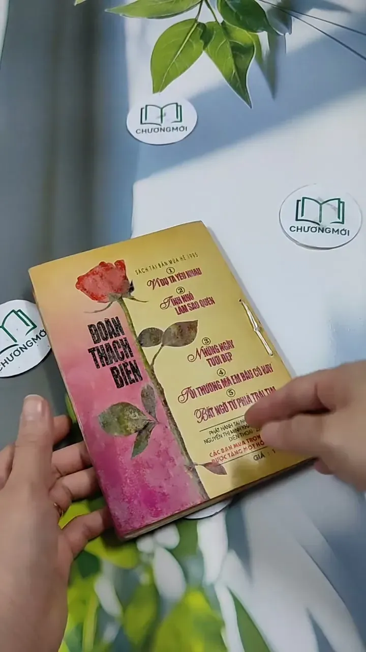 Bất Ngờ Phía Trái Tim - Đoàn Thạch Biền 713853