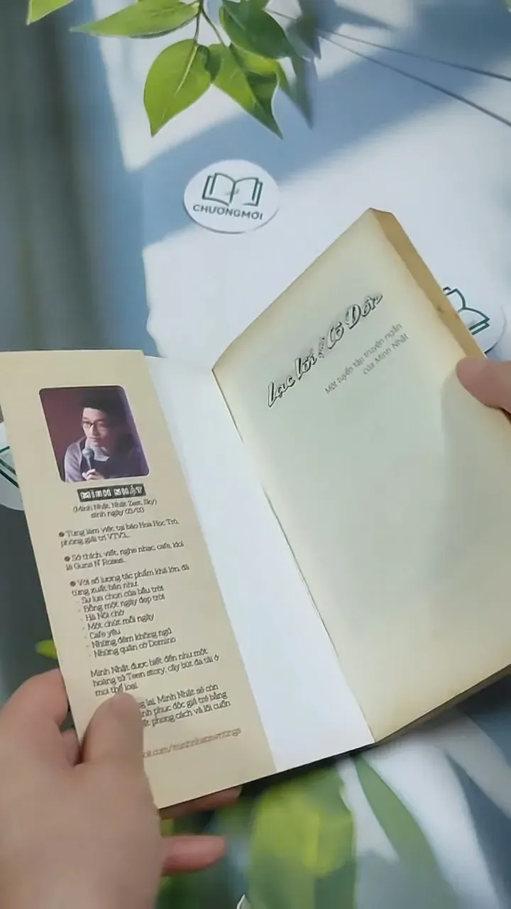 Lạc Lối Giữa Cô Đơn - Minh Nhật 707310