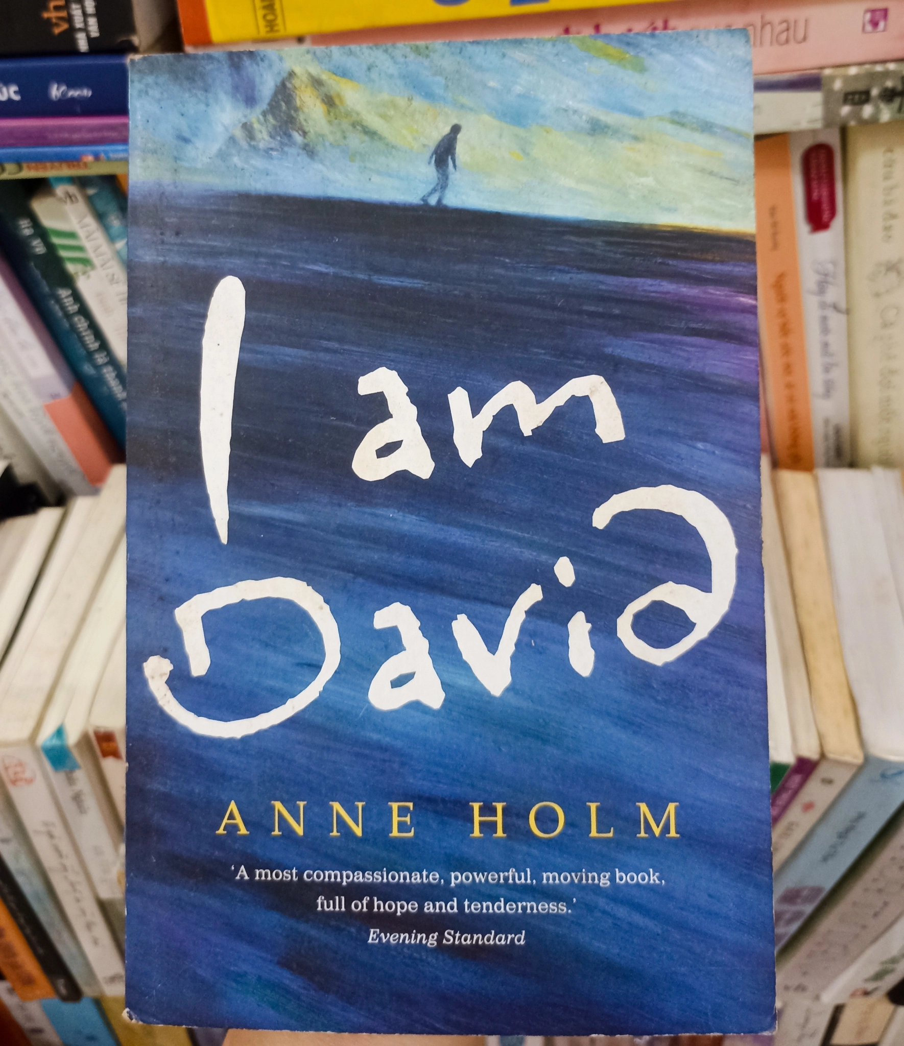 I am David 🌻 by  - Sách Book Cover - Ngọc Hiển Books