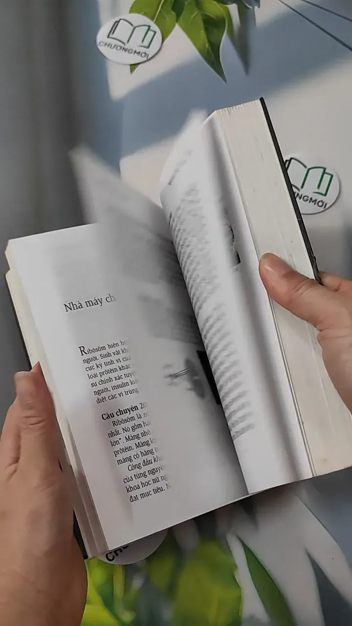 Sâu Thẳm Sự Sống - Nguyễn Chấn Hùng 780796