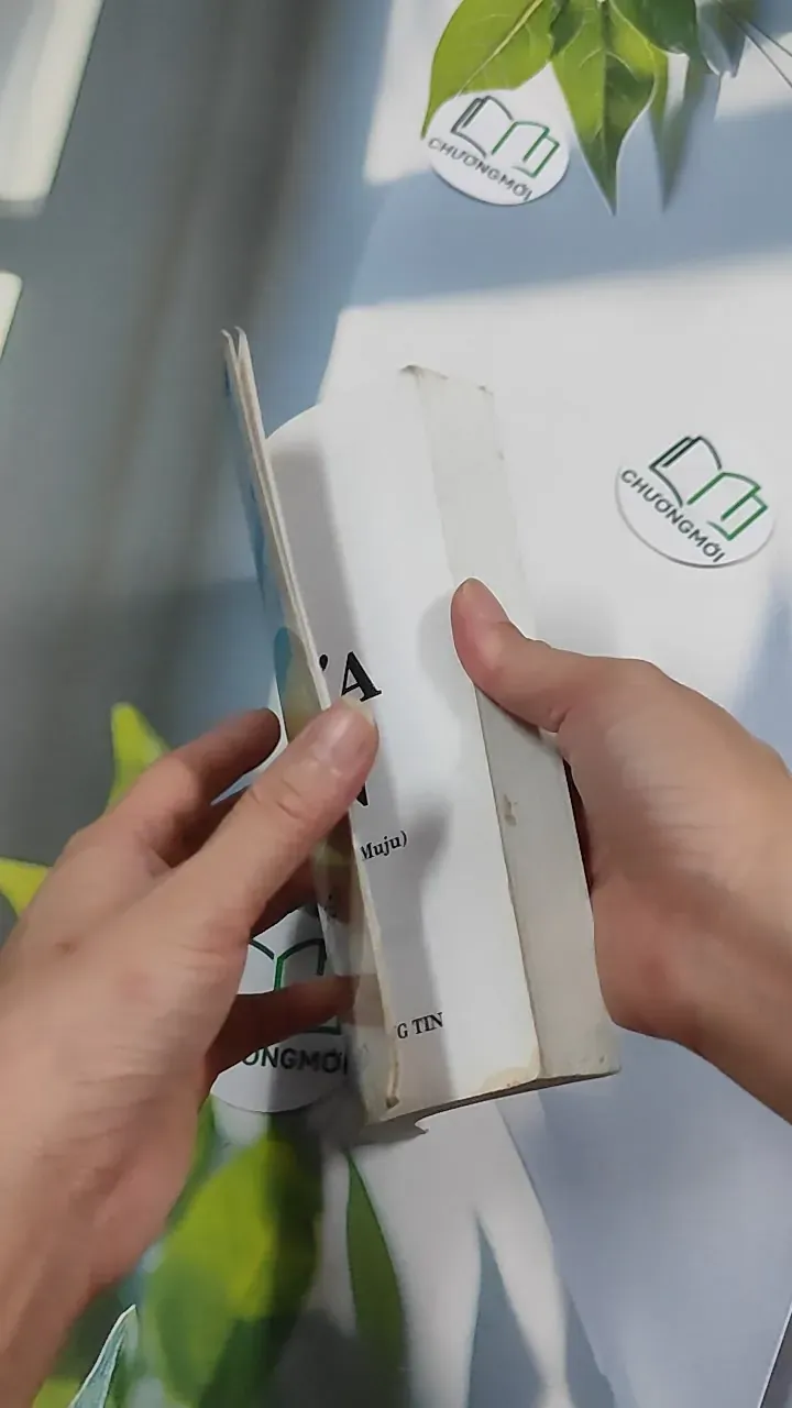 Gõ Cửa Thiền - Nguyên Minh 776154