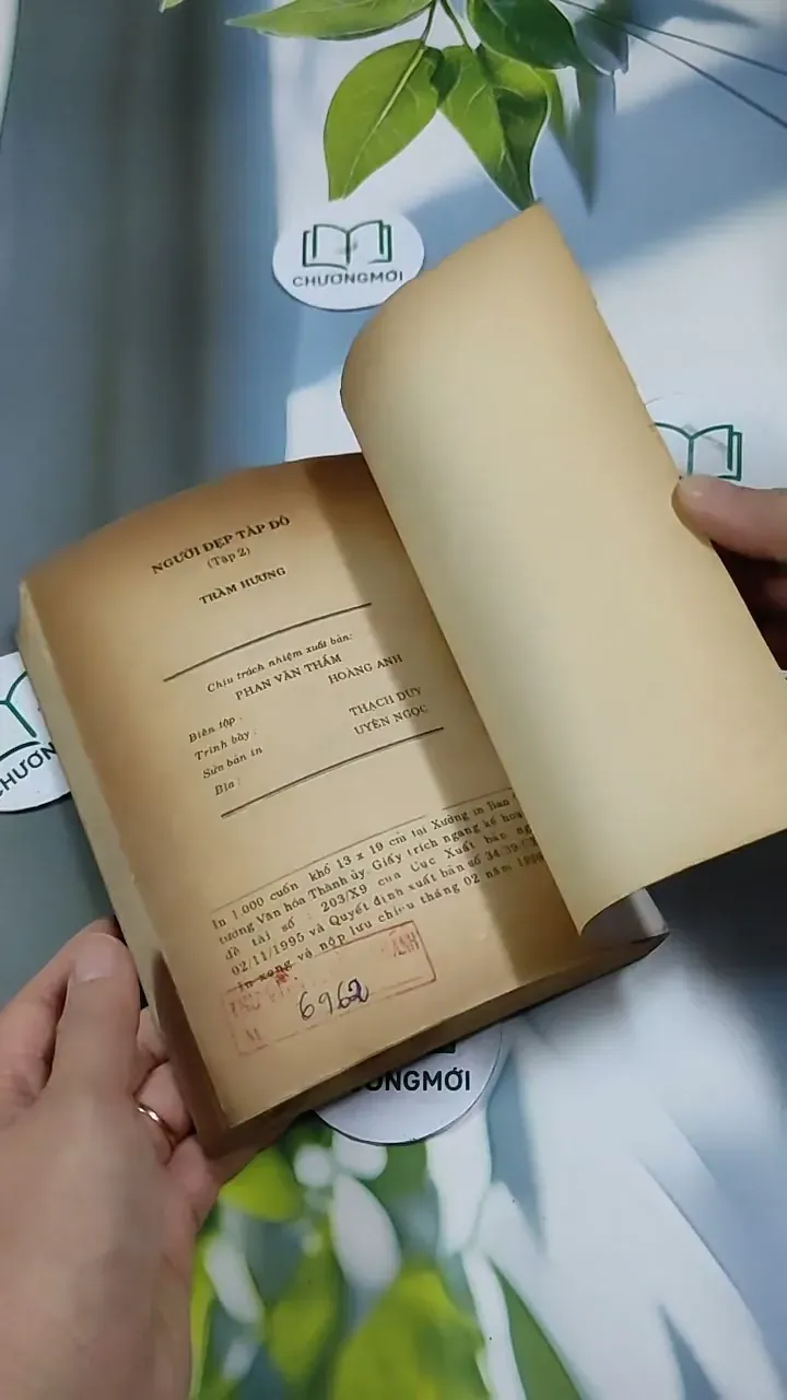 Người Đẹp Tây Đô (Tập 2) - Trầm Hương 713868