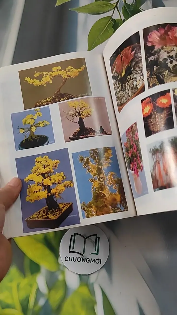 Kỹ Thuật Trồng Hoa Kiểng - Huỳnh Văn Thới 727272