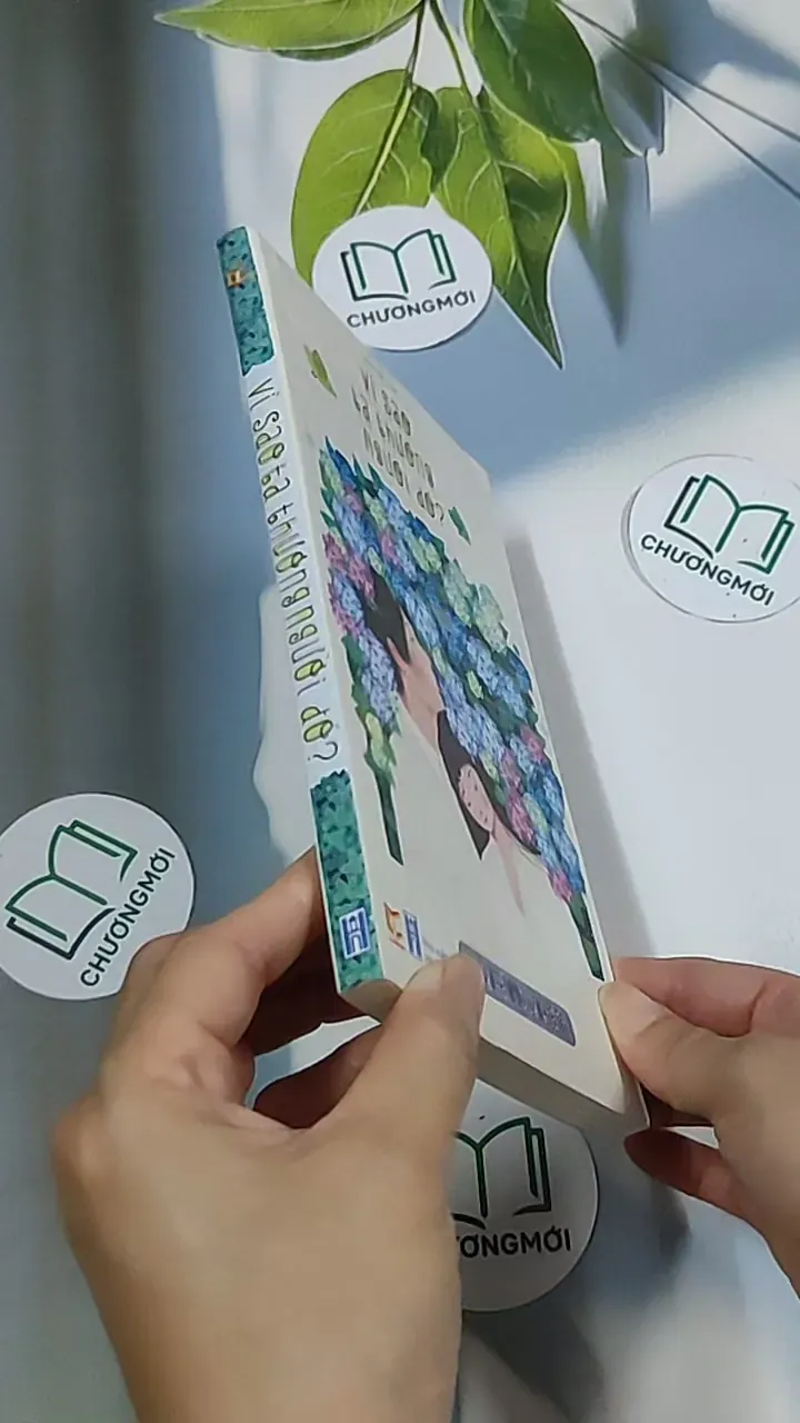 Vì sao ta thương người đó - Huy Hải 688717