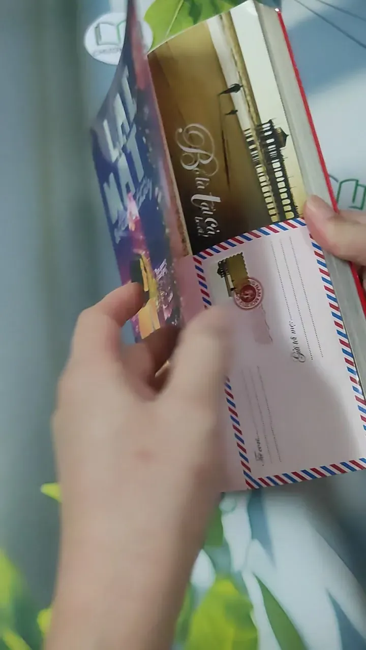 Tìm Thấy & Lạc Mất 780884