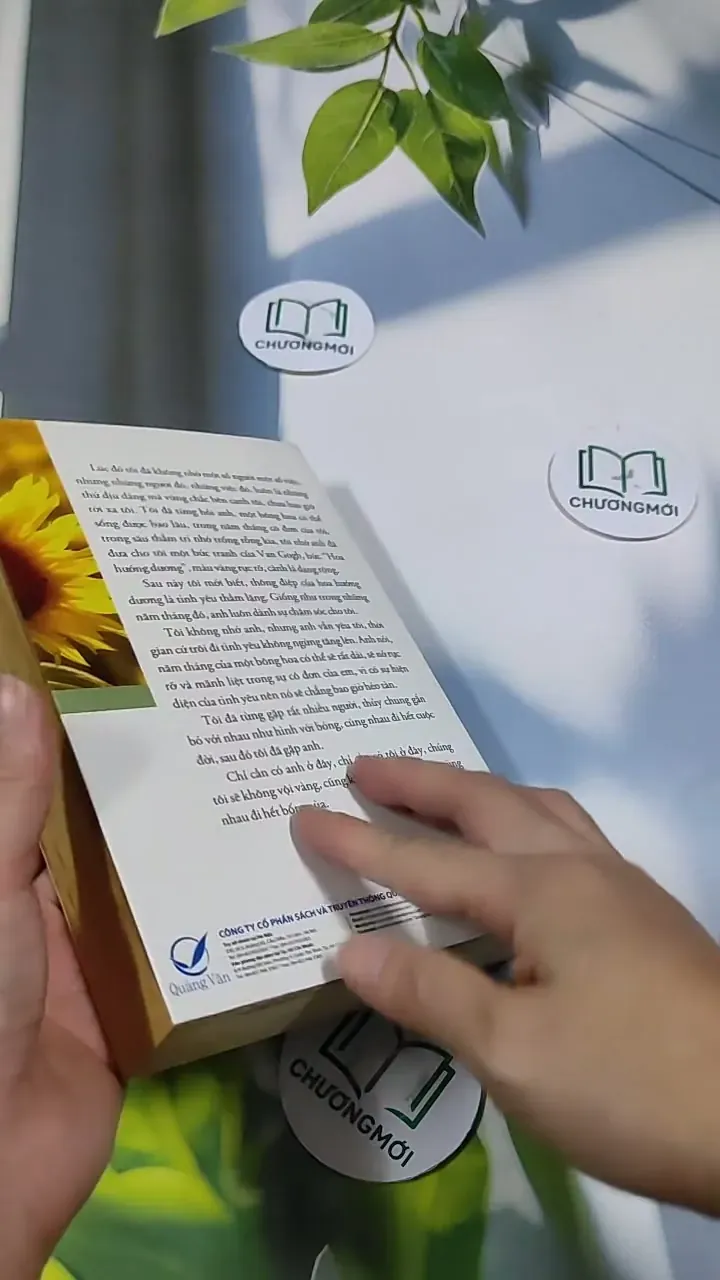 Hoa Nở Giữa Tháng Năm Cô Đơn - Sênh Lý 705743