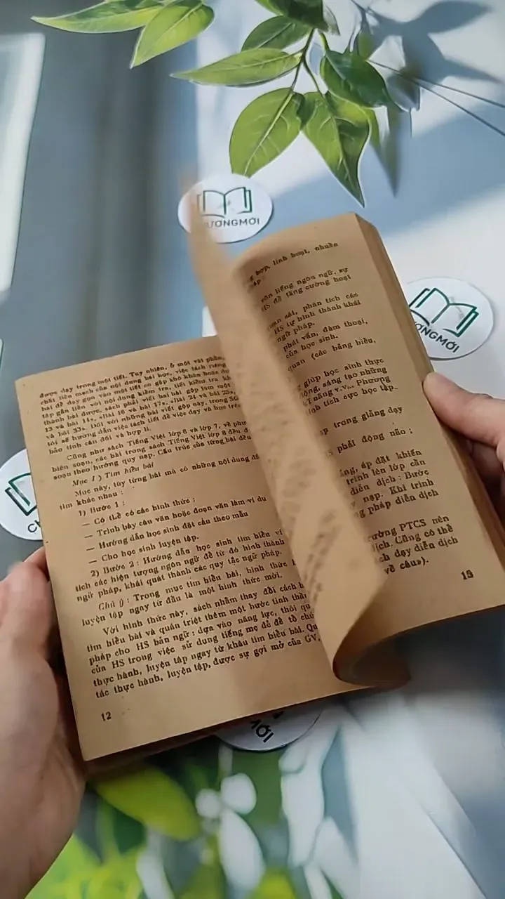 Tiếng Việt 8 - Sách Giáo Viên - Nguyễn Kì Thục 713802